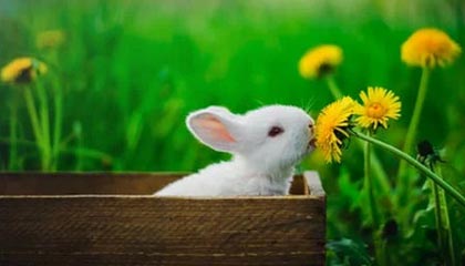 迪庆2026年最新杭州高端商务伴游招聘网渠道分享(最方便真实的迪庆茉莉伴游伴游天下全国联盟方法)