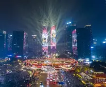 最新成都24小时上门回收方法分析(最方便真实的迪庆成都24小时上门回收宠物狗方法)